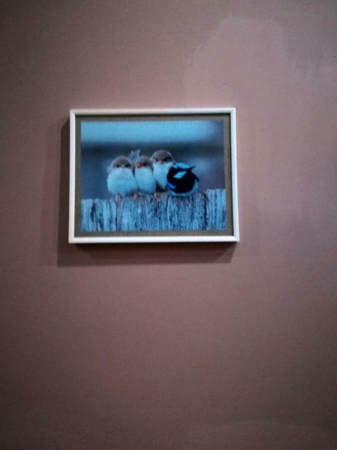 Birdhome In Tbilisi Exteriér fotografie